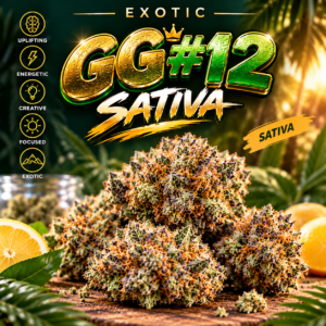 Exotic GG #12 Sativa
