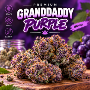 Granddaddy Purple strain